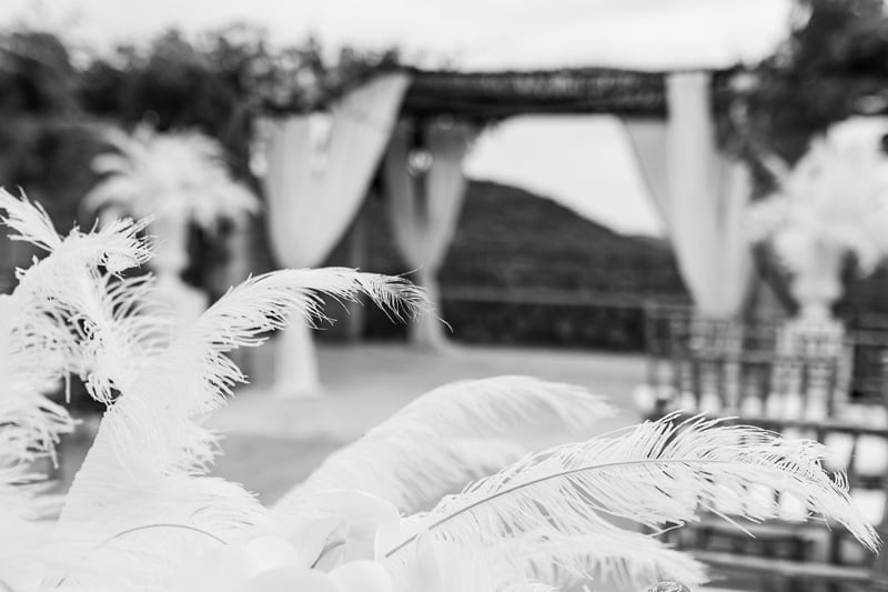 Sarah & Jasper Wedding 3