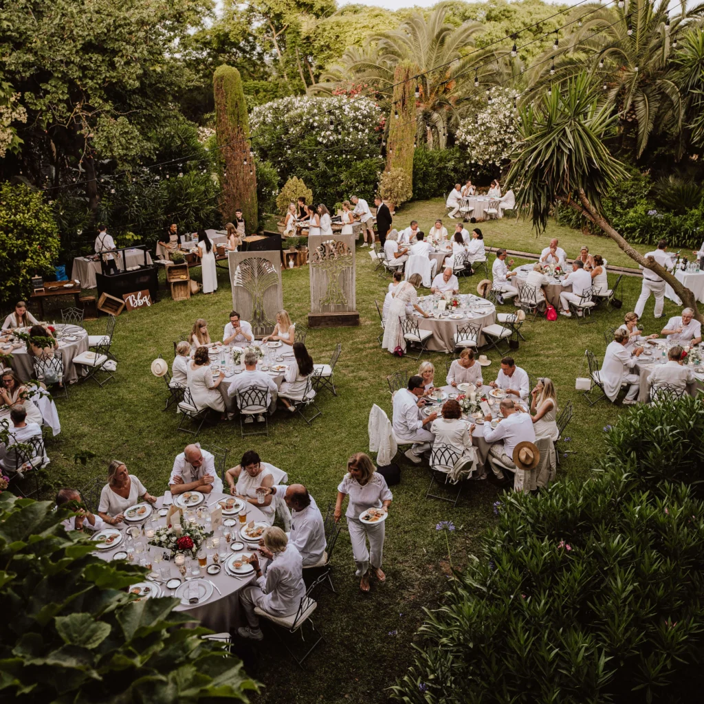 Palm oasis for outdoor celebrations