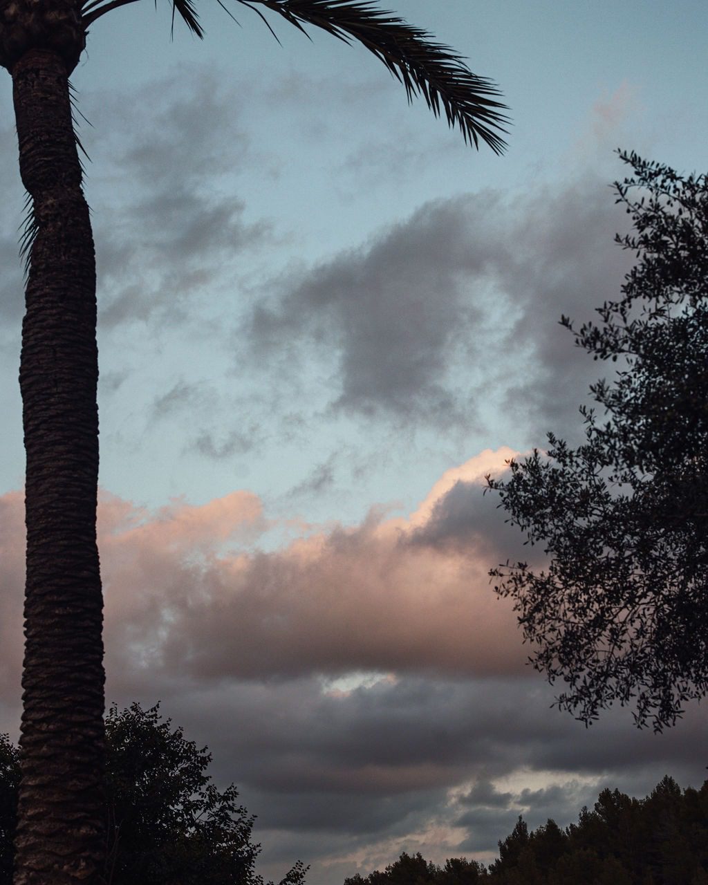 Instagram post from claudia_elisabeth_weddings. This post is in position 5.